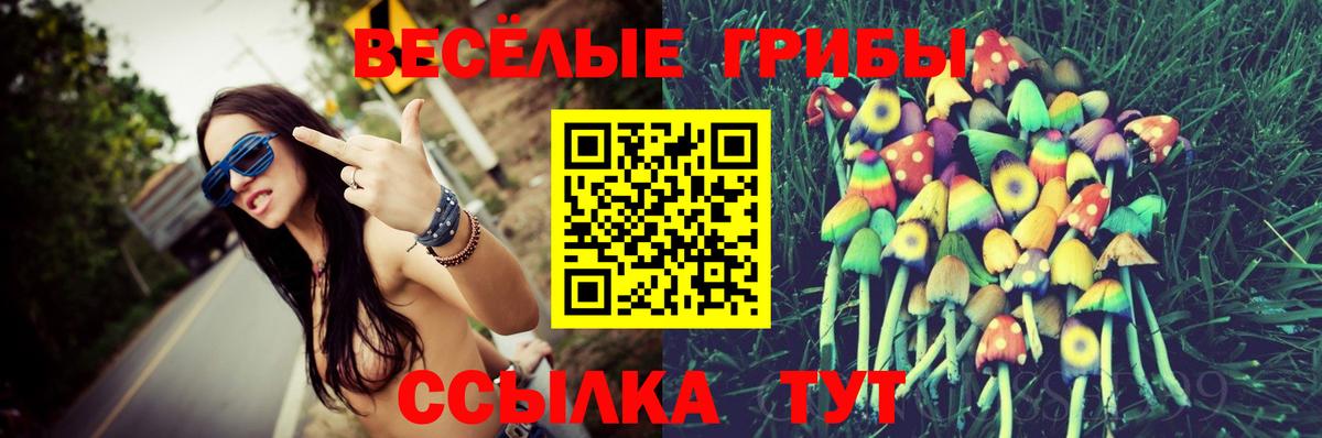 Челябинск  цены наркотик  Вход с VPN  Галлюциногенные грибы мухоморы 